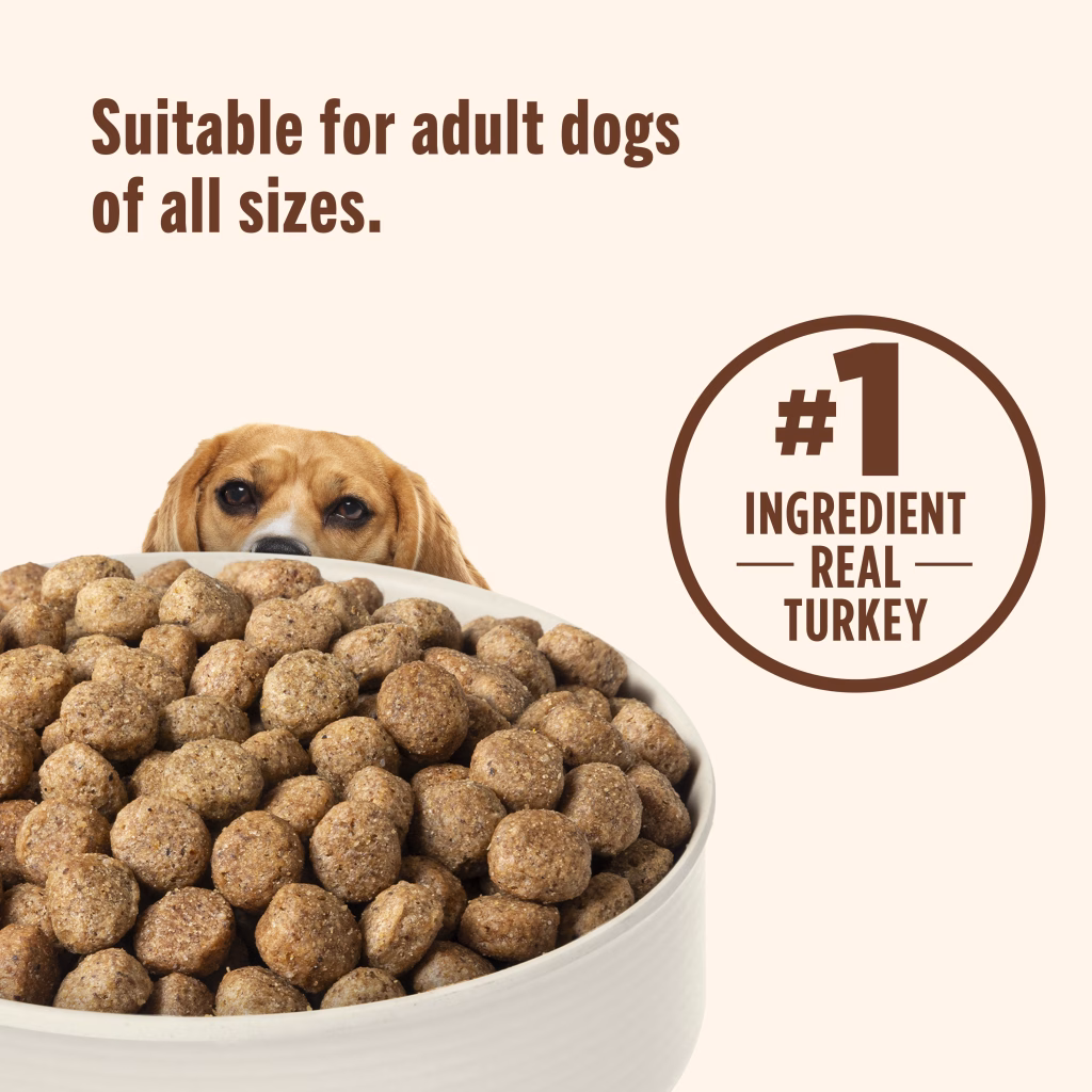 suitable for adult dogs of all sizes