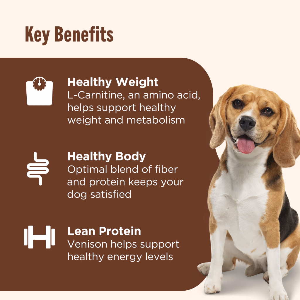 healthy weight dog food key benefits