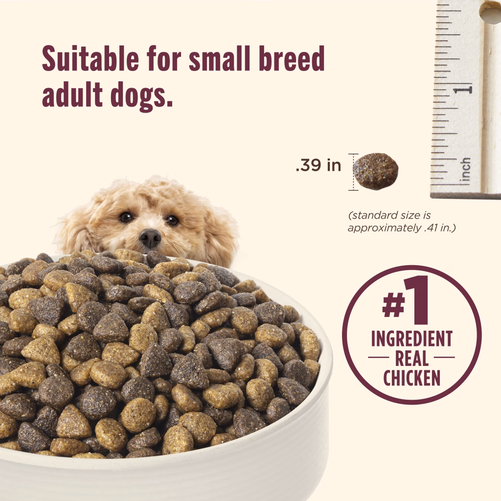 suitable for small breed dogs