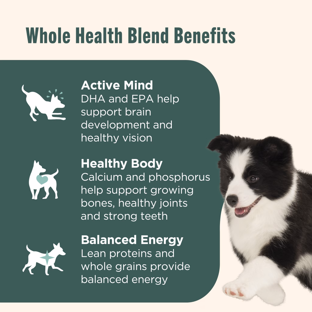 whole health blend benefits