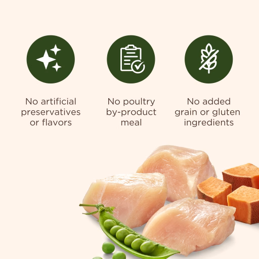 Grain free dog food benefits